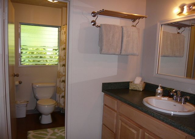 Upstairs Bath Area