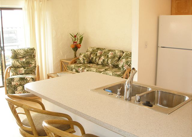 Kitchen/Living Room