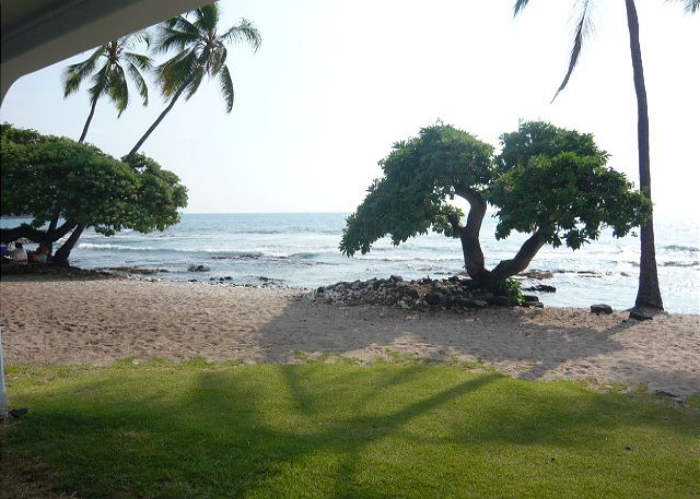 Beach directly behind the condo.