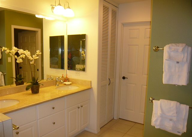 Master Bath with seperate shower and tub.