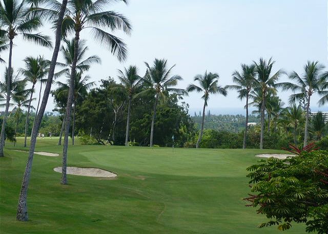 view from the lanai.