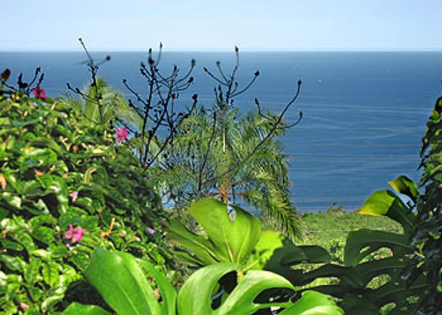 Glorious view from the back yard