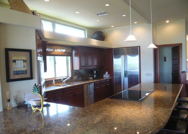 Special lighting and dimmer switches enhance this gourmet kitche
