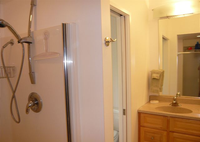 Newly remodeled master bathroom.