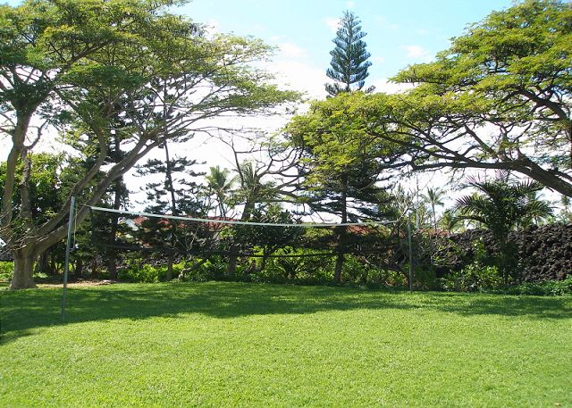 Grassy area for a game of Volleyball.
