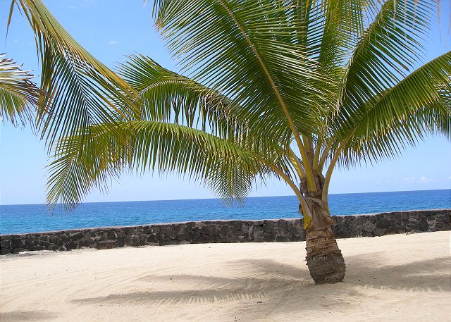 Beach area by the salt water pool