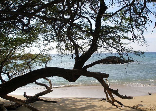 Beautiful Waialea Bay just steps from your back yard.