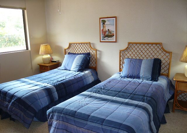 Twin beds in the second bedroom.