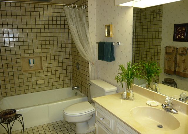Full bath off the spare bedroom.