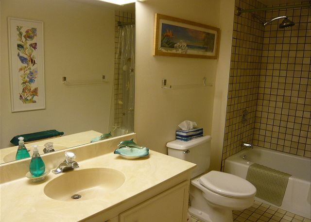 Full bath off the bedroom