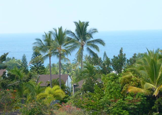 Ocean view from the lanai.