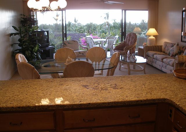 View from the Kitchen to the Ocean