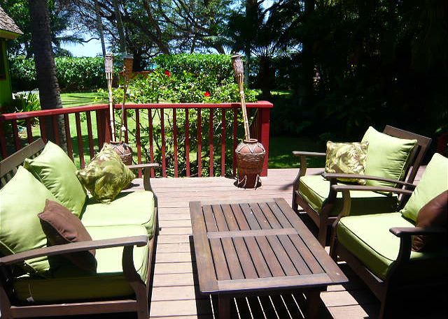 New lanai furnishings.