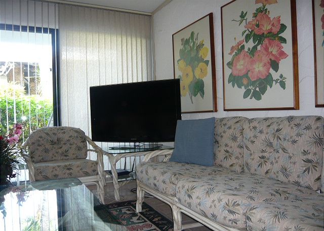 Lovely living room with a new flat screen TV
