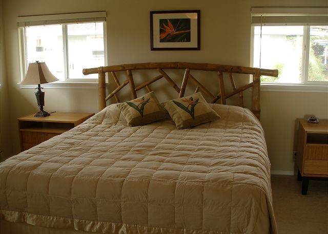 Master bedroom with a king bed and adjoining bath.