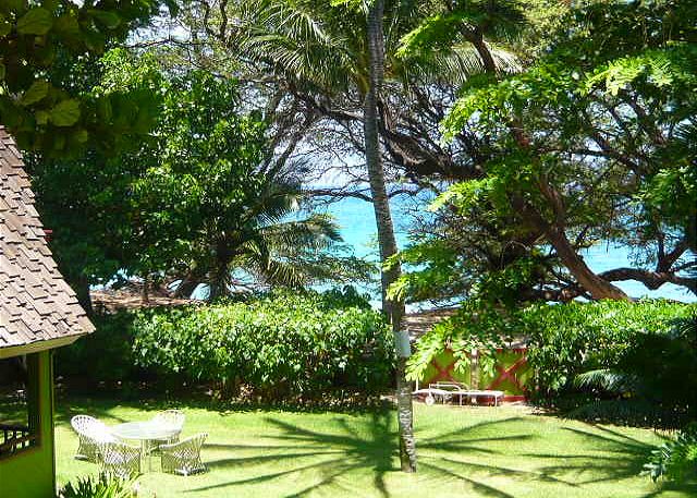 The back yard is just behind the ocean.