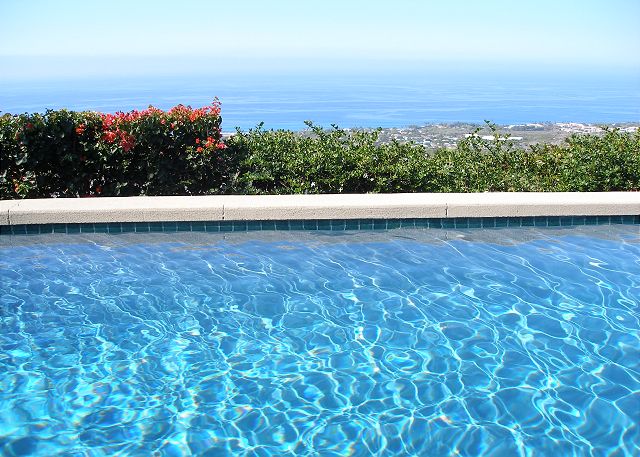 Back Yard Pool