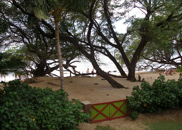 View from the Ohana Bedroom