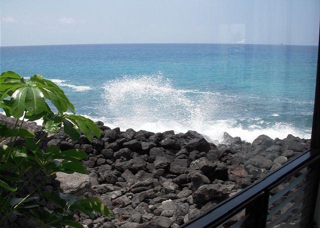 View From Dining Room