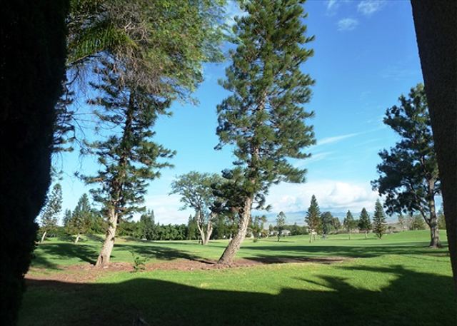 Golf Course Views