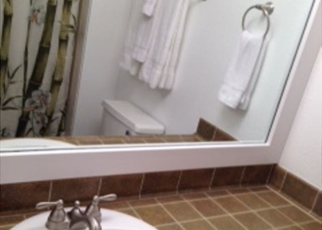 Newly updated guest bathroom