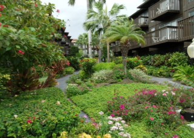 Court Yard at Malia Kai