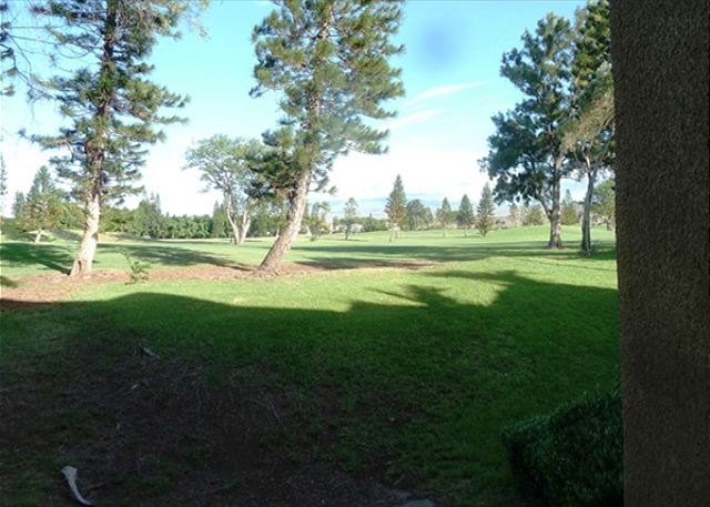 Golf Course View