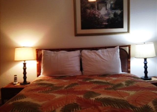 Second bedroom with queen bed