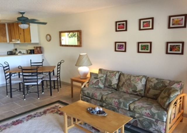 New sofa sleeper in living area