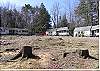 Large Compound with 3 cabins on Lake Winnipesaukee sleeping 18 (336)