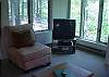 Living room with forest view