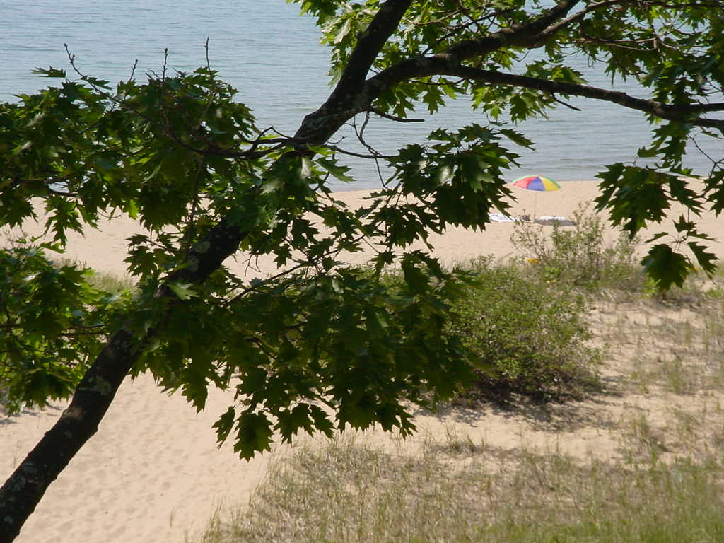 Beach Comber 11/12