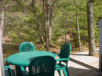 Wilderness 45