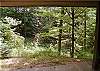 Walk out deck from the lower level with forest view