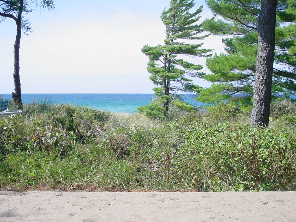 Beach Comber 03/04