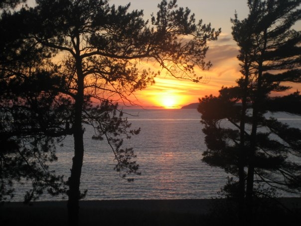 Beach Comber 9