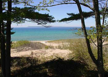 Beach Comber 02