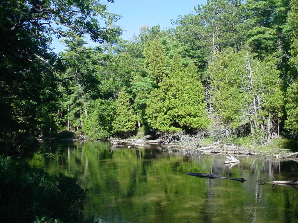 Wilderness 23