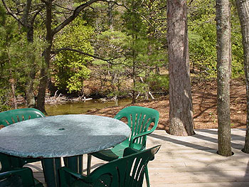 Wilderness 36