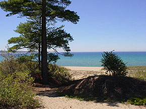 Beach  Walk 18/19