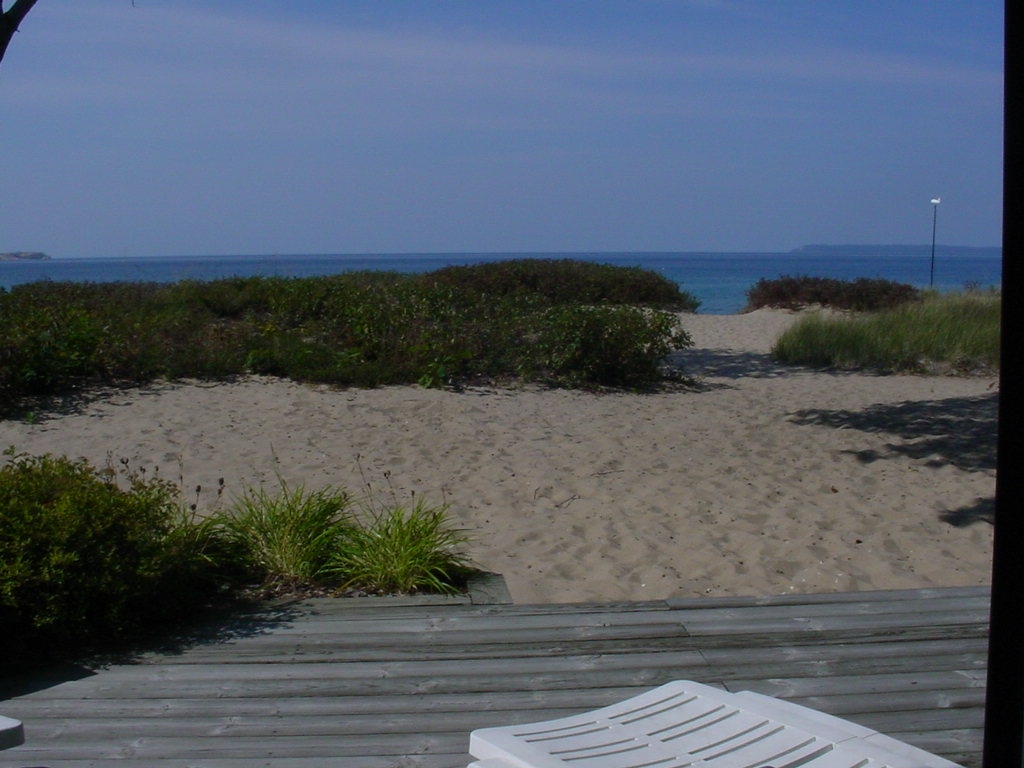 Beach Walk 07/08