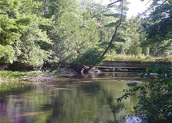 Wilderness 36