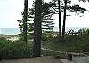 Beach path to Lake Michigan