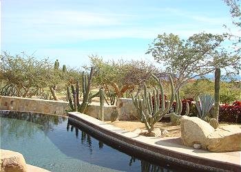 View from Palapa
