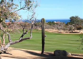 Cabo del Sol Ocean Course