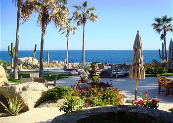 Patio View
