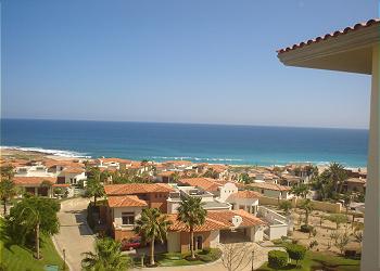 Terrace View