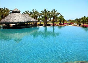 Swim-up Bar and Restaurant