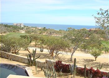 Palapa Seating and BBQ