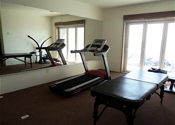 Treadmill & Massage Table